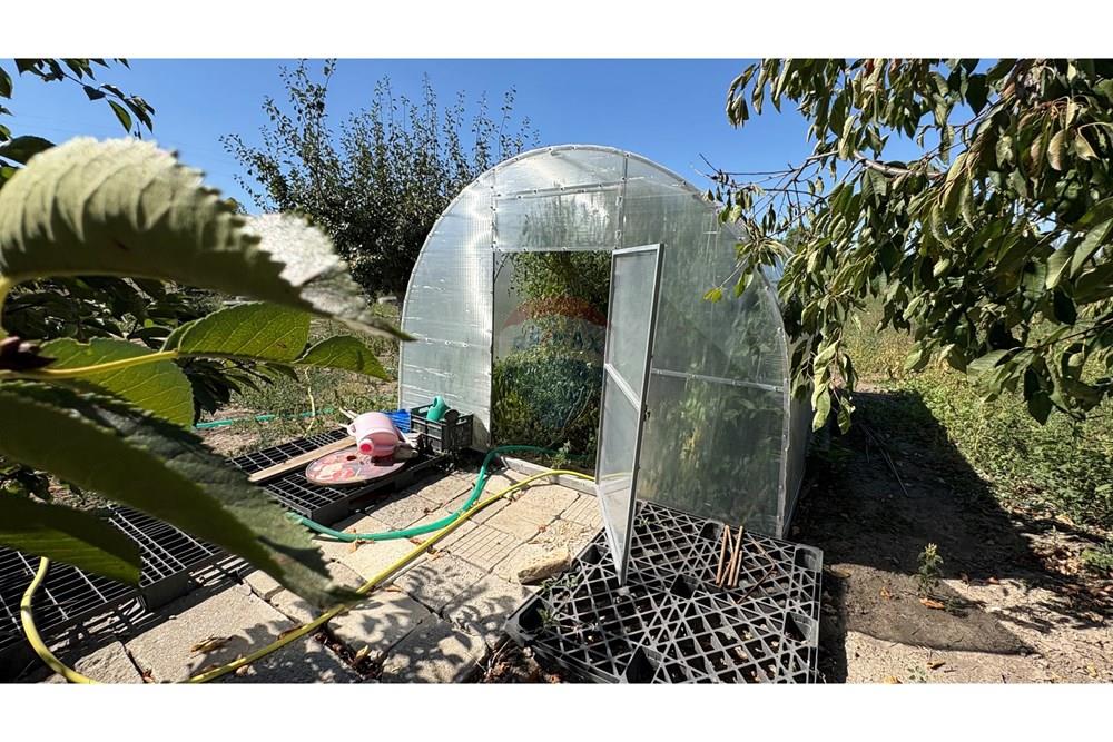 Земеделски имот - За продажба - с. Пробуда, Област Търговище, България - 1759472626595508.jpg - 360471029-9