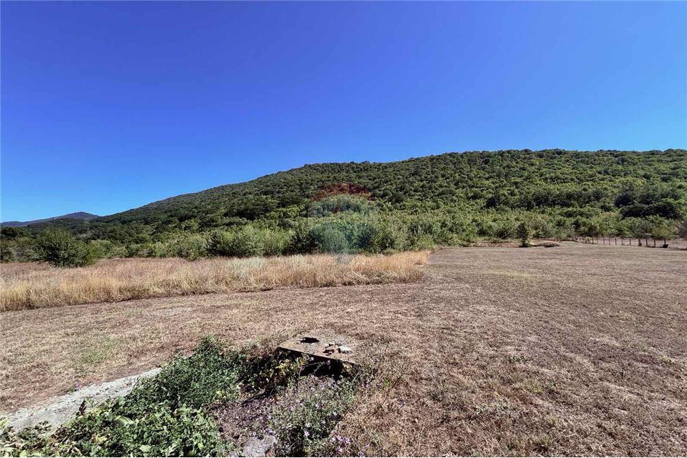 Имение - За продажба - с. Аспарухово, Област Варна, България - Дворно място - Двор - 360321025-228