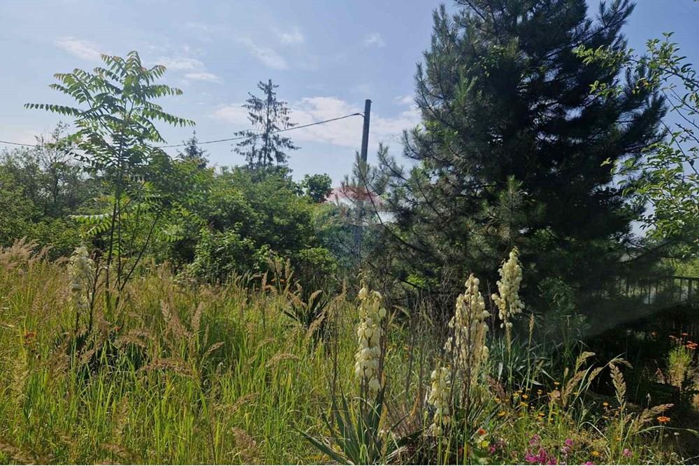 Development land - For Sale - Varna, Varna, Bulgaria - viber_image_2025-07-08_16-14-57-534.jpg - 360531003-46