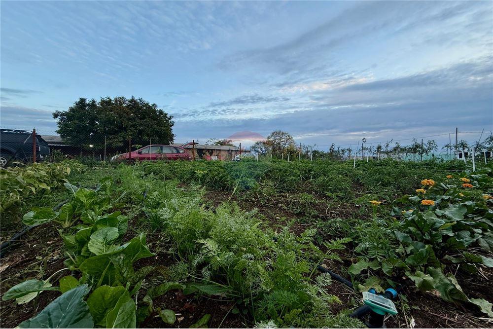 УПИ - За продажба - гр. Балчик, Област Добрич, България - Дворно място - Двор - 360321025-249