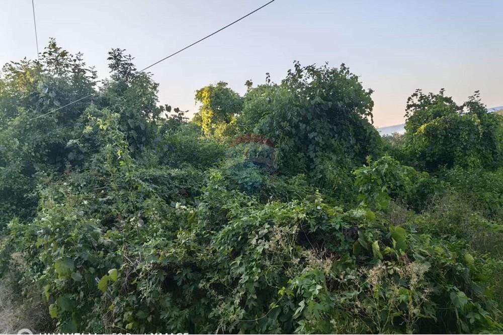 Поземлен имот - За продажба - гр. Варна, Област Варна, България - 0-02-05-403adf7d46df56a1a39c4b9e9398582d88de6c97533c8abd7e14101473518cdc_1c6dc16c345235.jpg - Друга - 360391067-7