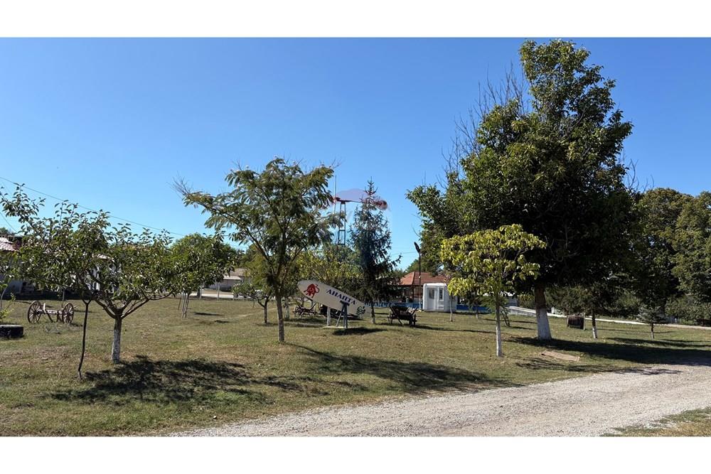 Земеделски имот - За продажба - с. Пробуда, Област Търговище, България - 1759472684175960.jpg - 360471029-9