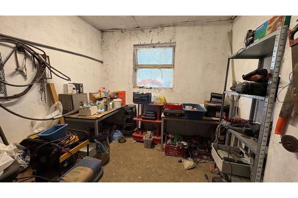 Земеделски имот - За продажба - с. Пробуда, Област Търговище, България - 1759472737384394.jpg - 360471029-9