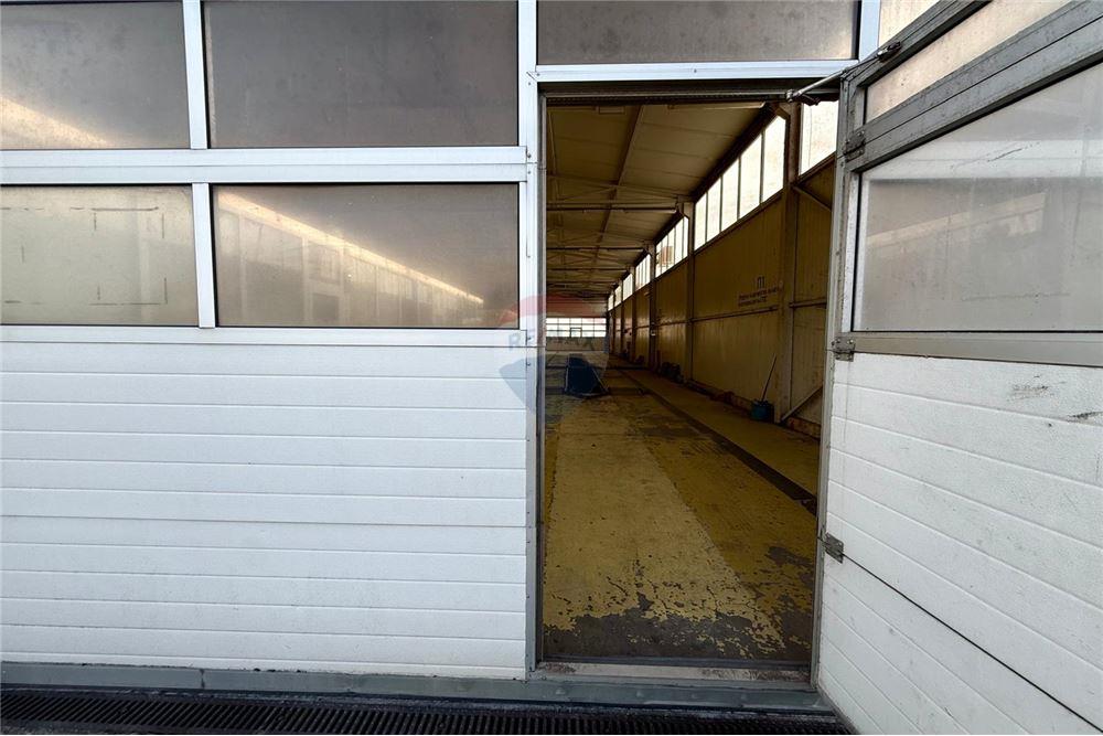 Самостоятелен бизнес - За продажба - гр. Балчик, Област Добрич, България - Диагностичен пункт - 360321025-251