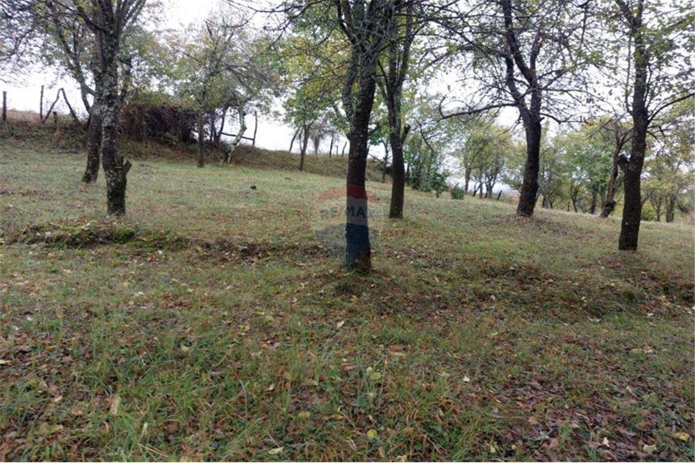 Maison de campagne - A vendre - с. Угорелец, Област Габрово, България - 33 - 360331003-191