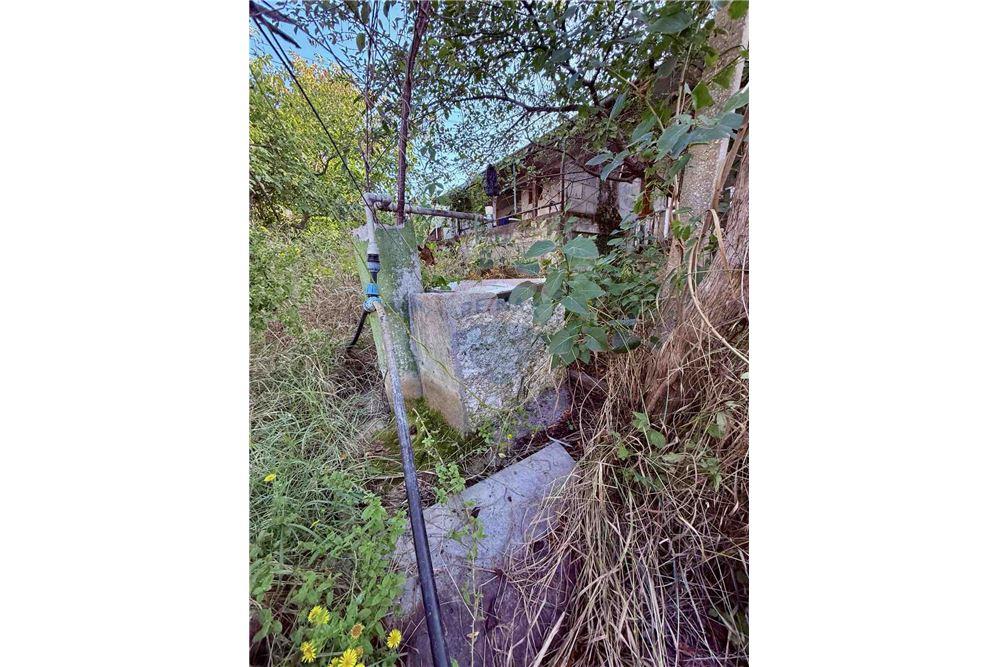 Селска къща - За продажба - с. Кранево, Област Добрич, България - Водомер/ вода в имота - Двор - 360321025-231