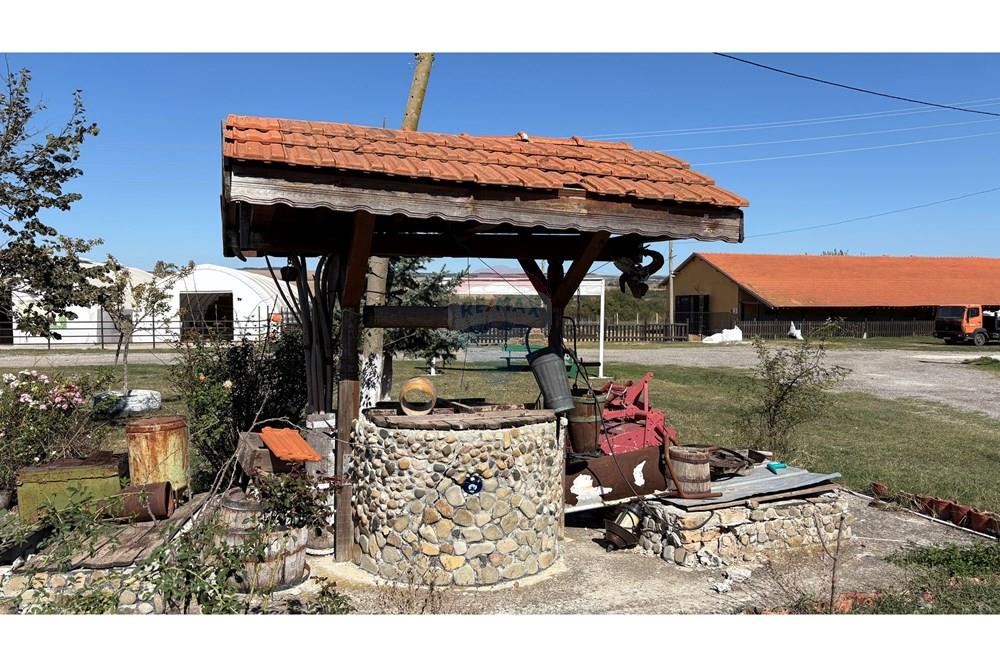 Земеделски имот - За продажба - с. Пробуда, Област Търговище, България - 1759472692291676.jpg - 360471029-9