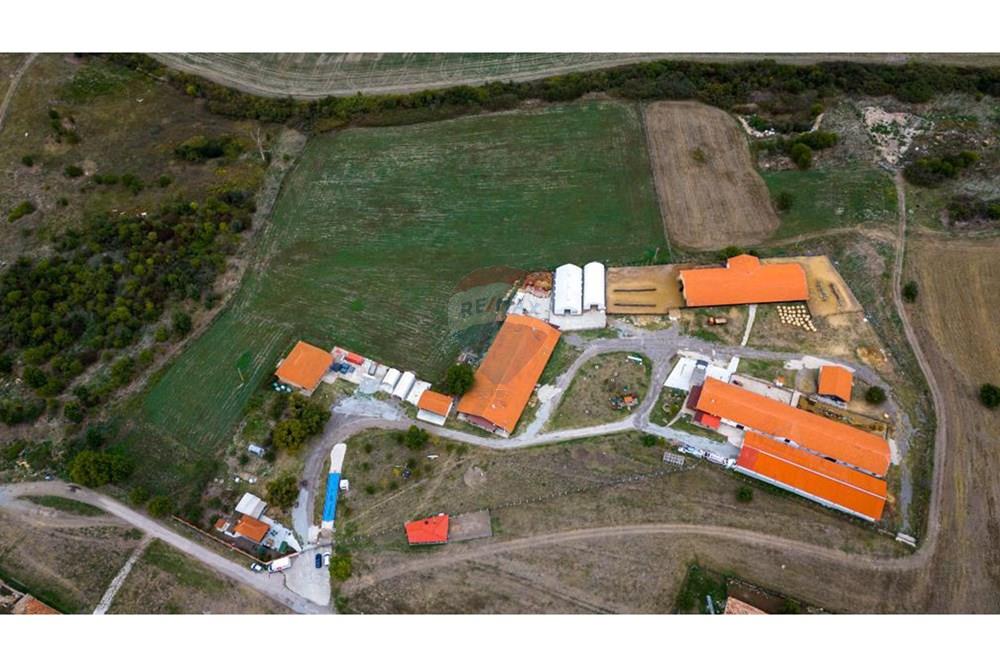 Земеделски имот - За продажба - с. Пробуда, Област Търговище, България - 175947263323456.jpg - 360471029-9