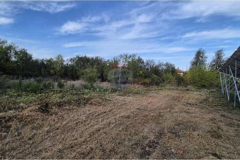 Градска къща - За продажба - гр. Мизия, Област Враца, България - 9810041_133184383_big.jpg - 360291030-21