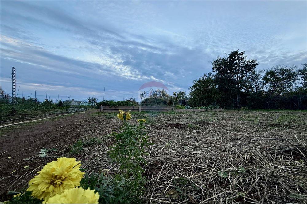 УПИ - За продажба - гр. Балчик, Област Добрич, България - Дворно място - Двор - 360321025-249