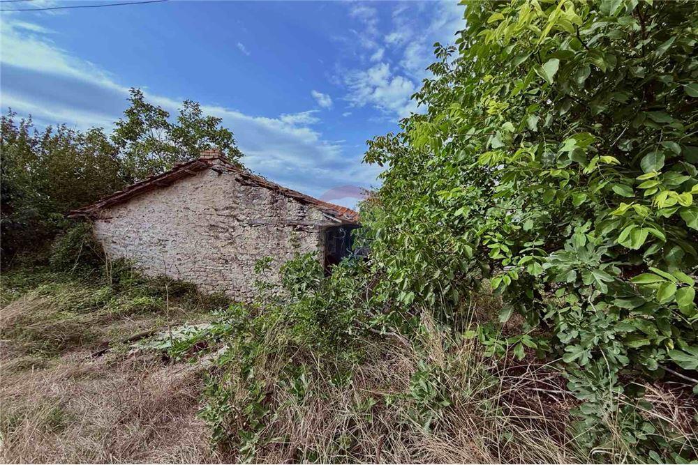 Селска къща - За продажба - с. Кранево, Област Добрич, България - Стара каменна еднофамилна къща на един етаж - Вътрешен двор - 360321025-231