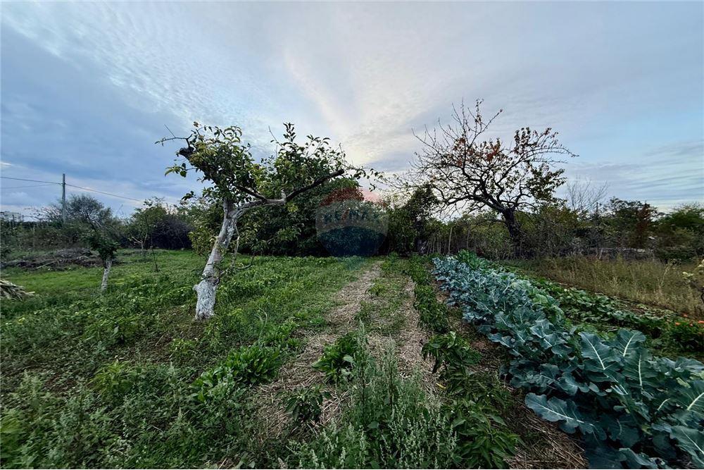 УПИ - За продажба - гр. Балчик, Област Добрич, България - Дворно място - Двор - 360321025-249