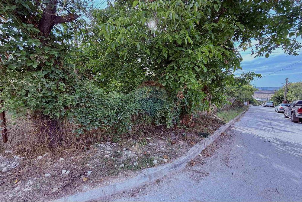 Селска къща - За продажба - с. Кранево, Област Добрич, България - Лице към улица/ Достъп към имота - Друга - 360321025-231