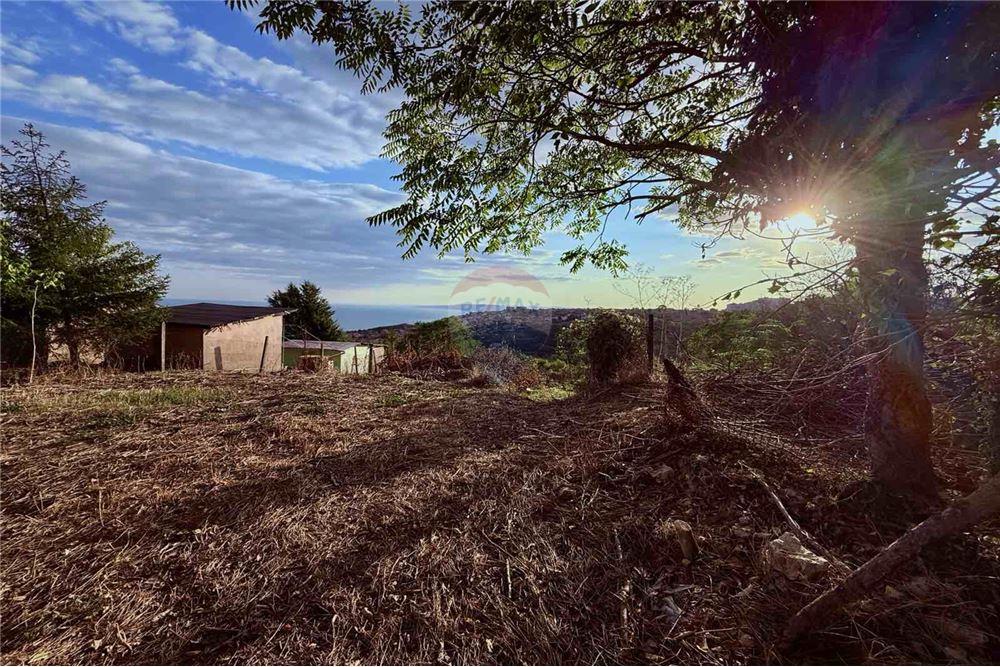 Поземлен имот - За продажба - гр. Балчик, Област Добрич, България - Двор - Двор - 360321025-237