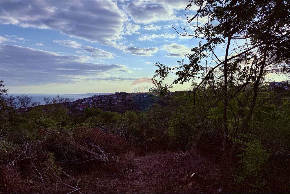 Поземлен имот - За продажба - гр. Балчик, Област Добрич, България - Двор - Двор - 360321025-237