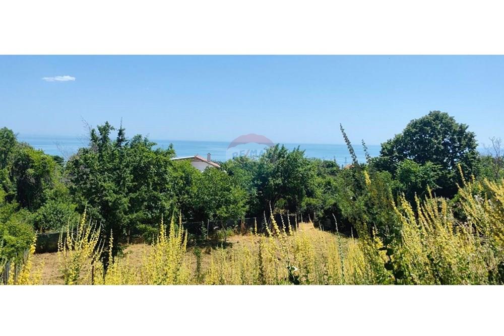 УПИ - За продажба - к.к. Златни пясъци, Област Варна, България - viber_изображение_2025-07-01_13-10-02-614.jpg - Двор - 360511010-72