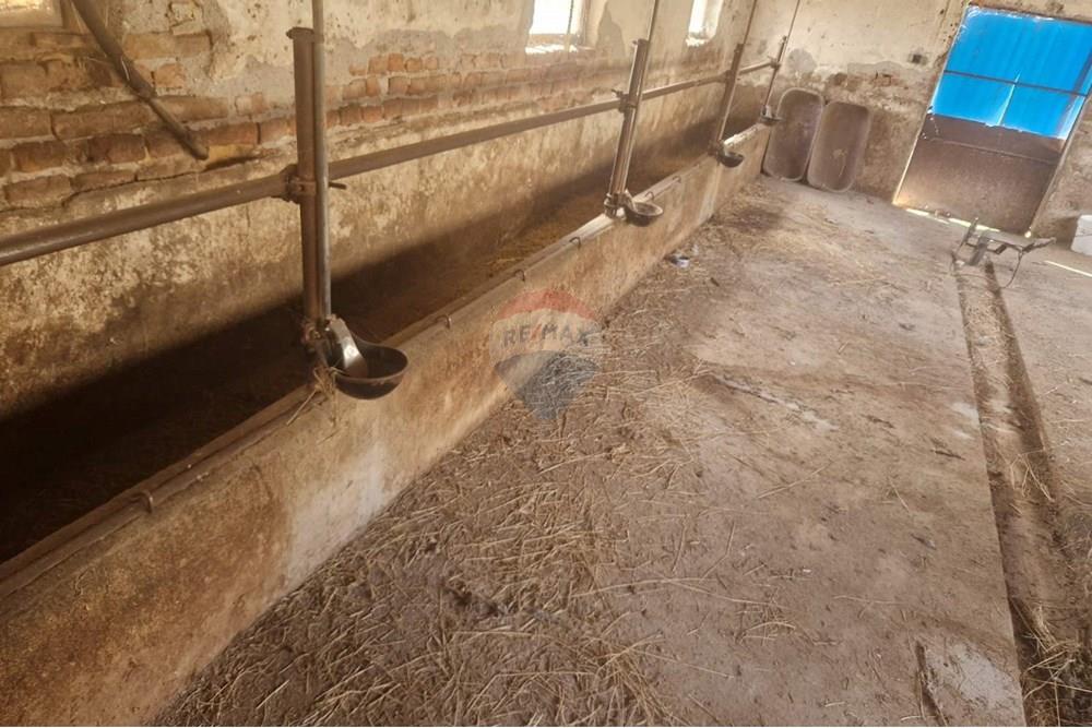 Farm - For Sale - Tenevo, Yambol, Bulgaria - viber_image_2025-01-02_19-48-49-202.jpg - 360531003-47