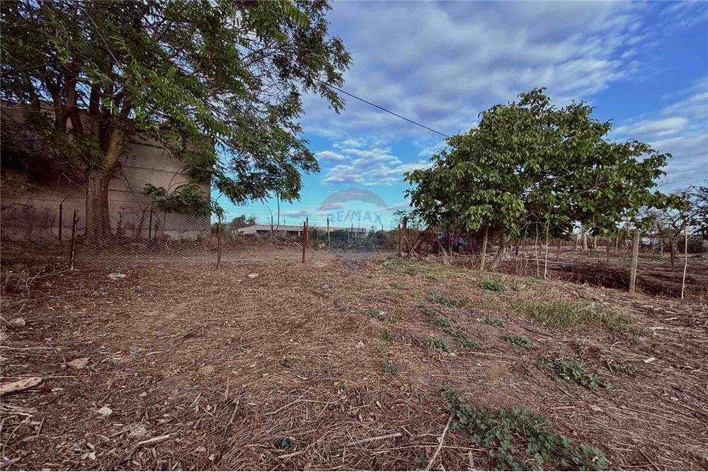 Поземлен имот - За продажба - гр. Балчик, Област Добрич, България - Двор - Двор - 360321025-237