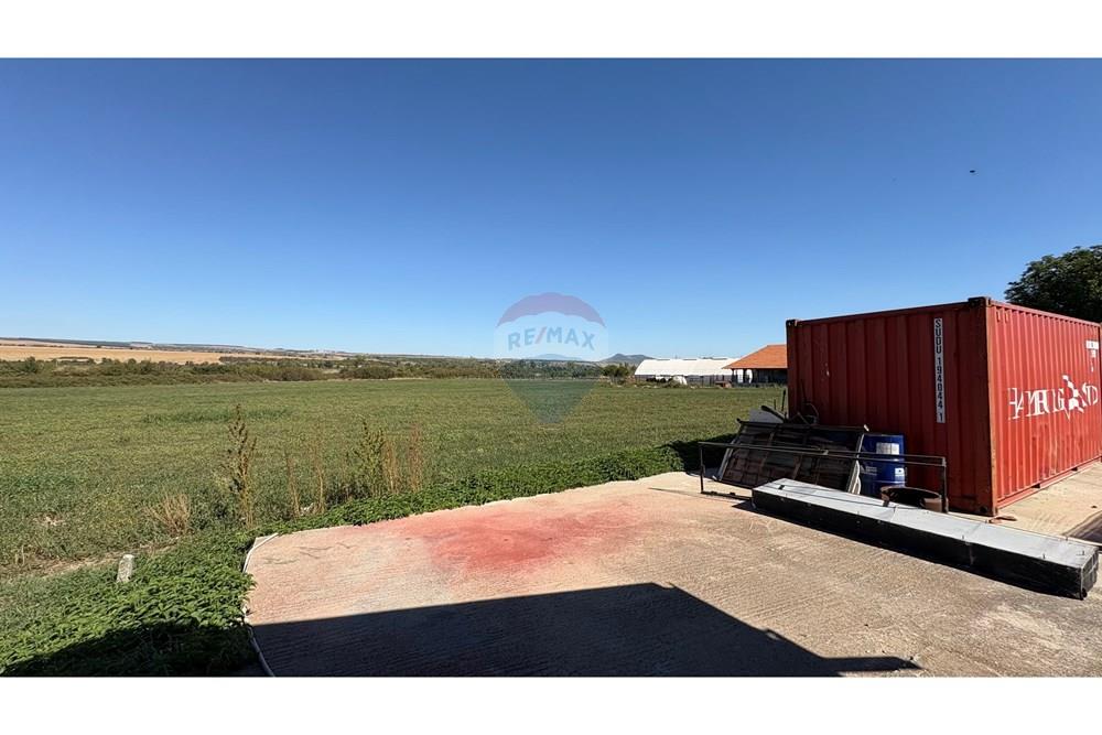 Земеделски имот - За продажба - с. Пробуда, Област Търговище, България - 1759472657763715.jpg - Двор - 360471029-9