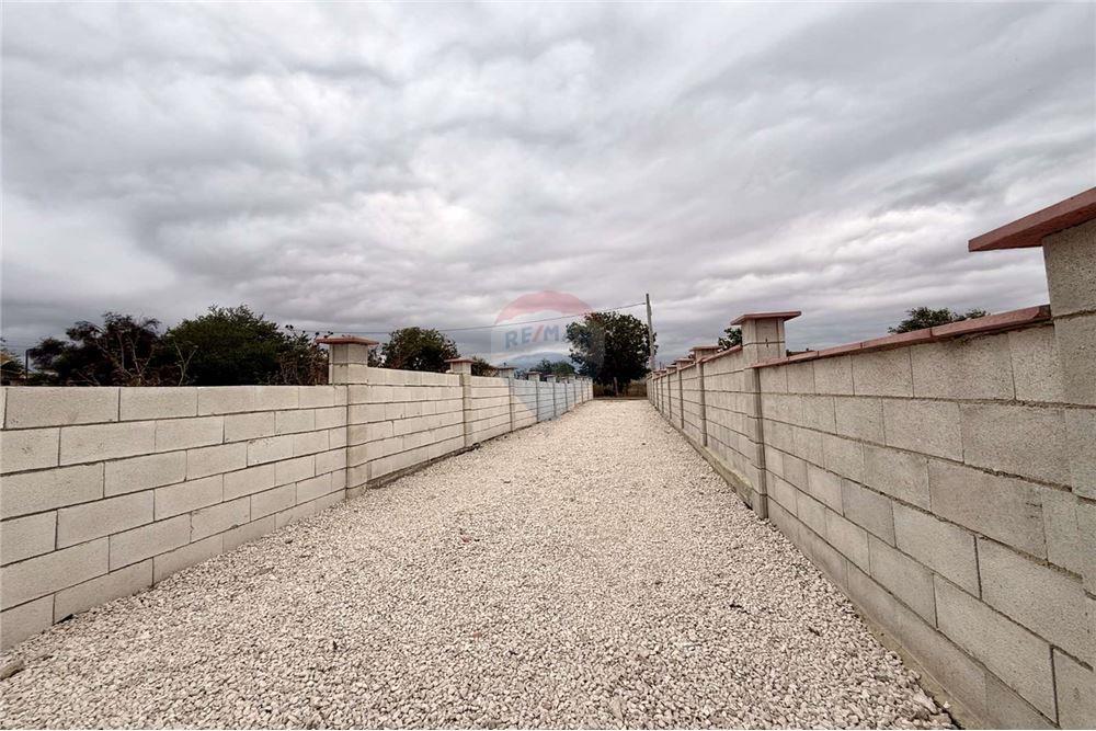 Селска къща - За продажба - с. Соколово, Област Добрич, България - Дворно място с потенциал да се изгради басейн, лятна кухня и беседка - Двор - 360321025-241