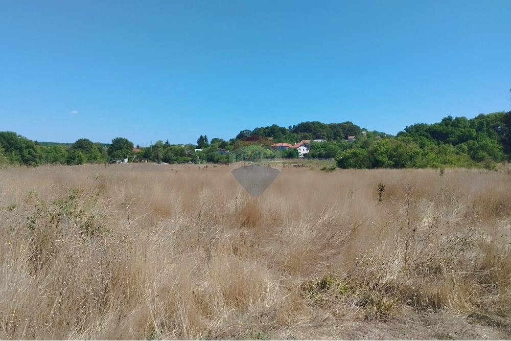 Поземлен имот - За продажба - м-т Перчемлията, Област Варна, България - IMG_20250829_125134.jpg - 360471005-265