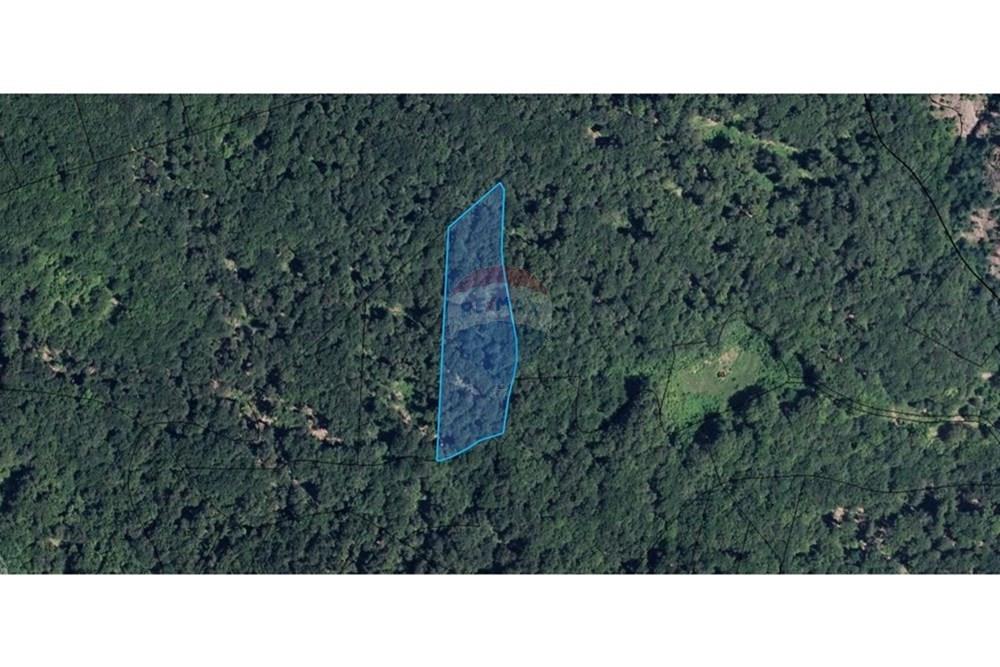 Поземлен имот - За продажба - с. Згориград, Област Враца, България - 4.jpg - 360561012-190