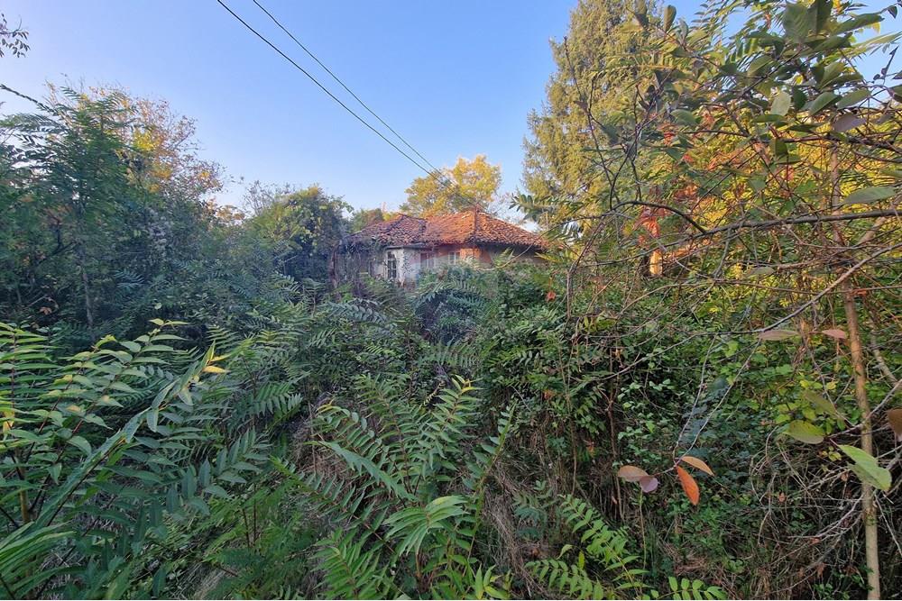 Kır Evi - Satılık - с. Писанец, Област Русе, България - 20251016_172914.jpg - 360451038-13