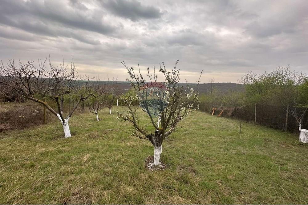 Поземлен имот - За продажба - с. Николово, Област Русе, България - viber_изображение_2025-03-28_11-13-38-453.jpg - 360451001-672