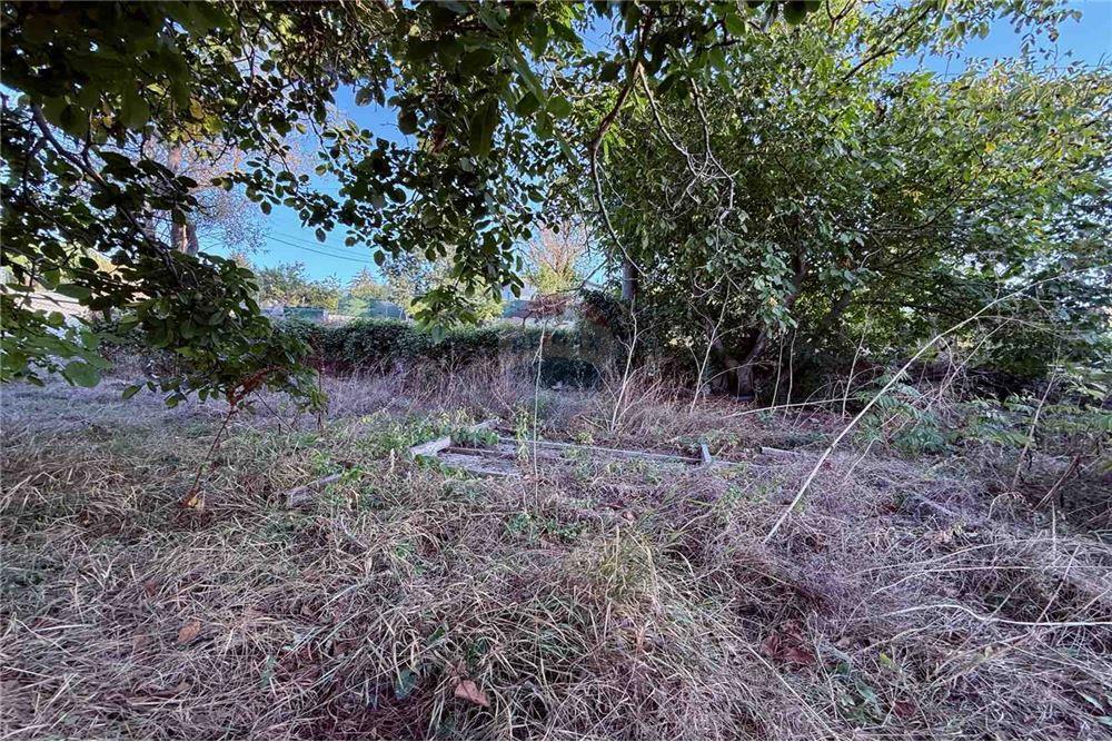 Селска къща - За продажба - с. Кранево, Област Добрич, България - Дворно място - Двор - 360321025-231