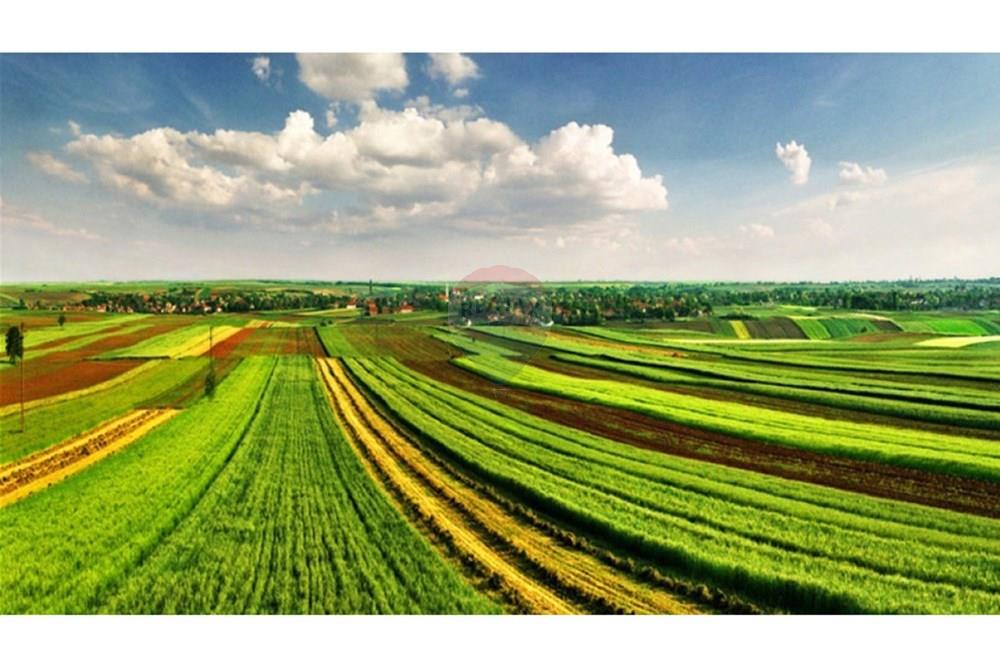 Земеделски имот - За продажба - гр. Сливен, Област Сливен, България - 1e1beed0a22627165dfa4d1b22b1a14a.jpg - 360291030-33