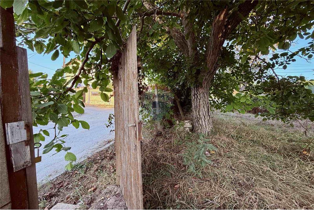 Селска къща - За продажба - с. Кранево, Област Добрич, България - Дворно място - Двор - 360321025-231