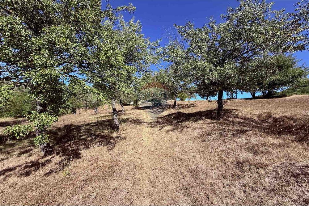 Имение - За продажба - с. Аспарухово, Област Варна, България - Дворно място - Двор - 360321025-228