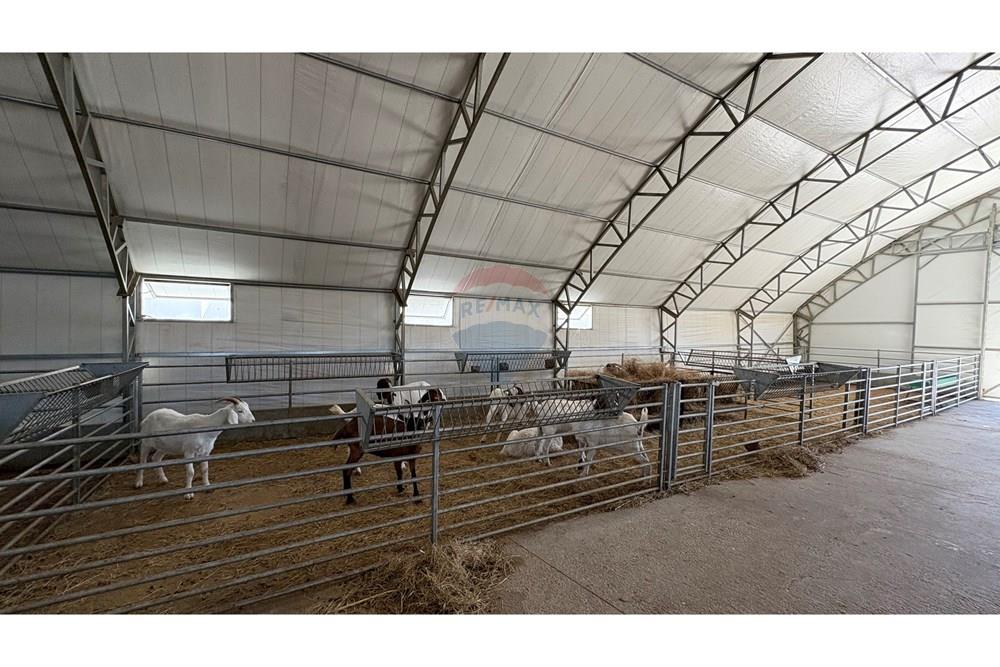 Земеделски имот - За продажба - с. Пробуда, Област Търговище, България - 17594727162790.jpg - 360471029-9