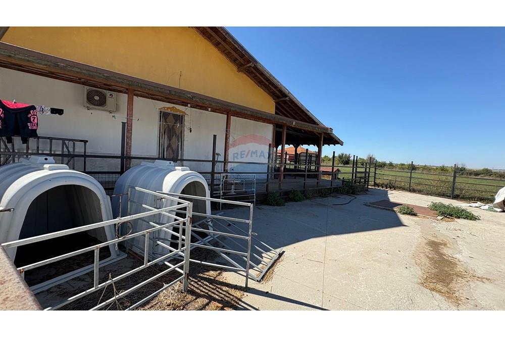 Земеделски имот - За продажба - с. Пробуда, Област Търговище, България - 1759472711644181.jpg - 360471029-9