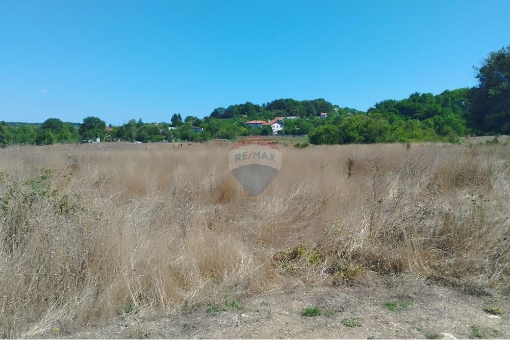 Поземлен имот - За продажба - м-т Перчемлията, Област Варна, България - IMG_20250829_125118.jpg - 360471005-265