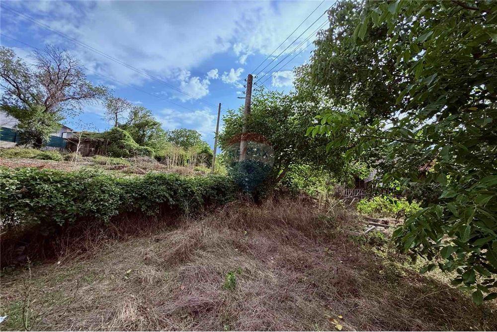 Селска къща - За продажба - с. Кранево, Област Добрич, България - Дворно място - Двор - 360321025-231