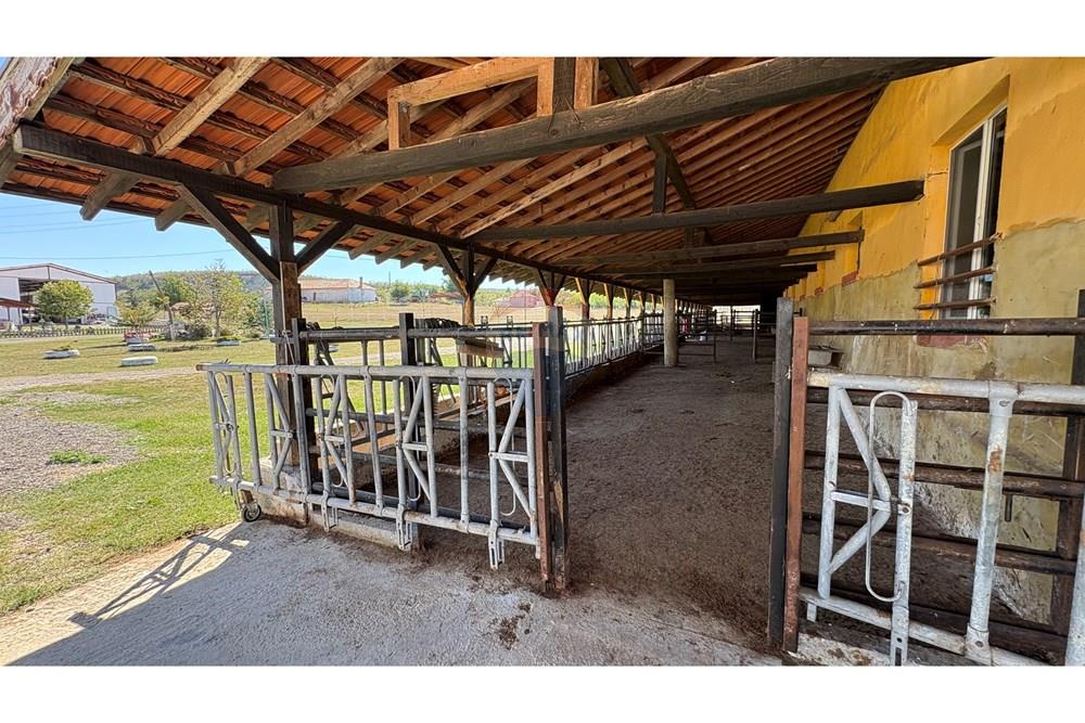 Земеделски имот - За продажба - с. Пробуда, Област Търговище, България - 1759472711195670.jpg - 360471029-9