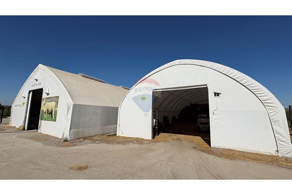 Земеделски имот - За продажба - с. Пробуда, Област Търговище, България - 1759472717879942.jpg - 360471029-9