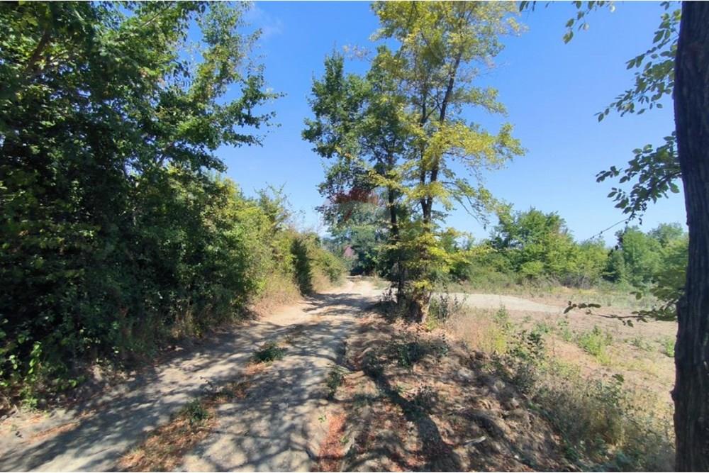 Development land - For Sale - гр. Царево, Област Бургас, Болгария - 11.jpg - 360291010-284