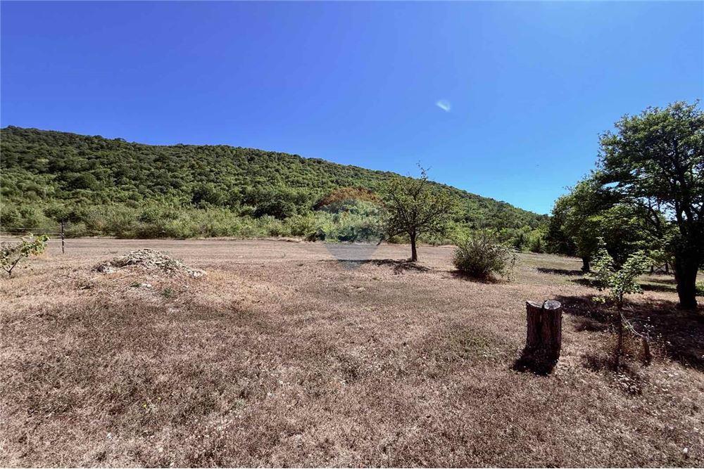 Имение - За продажба - с. Аспарухово, Област Варна, България - Дворно място - Двор - 360321025-228