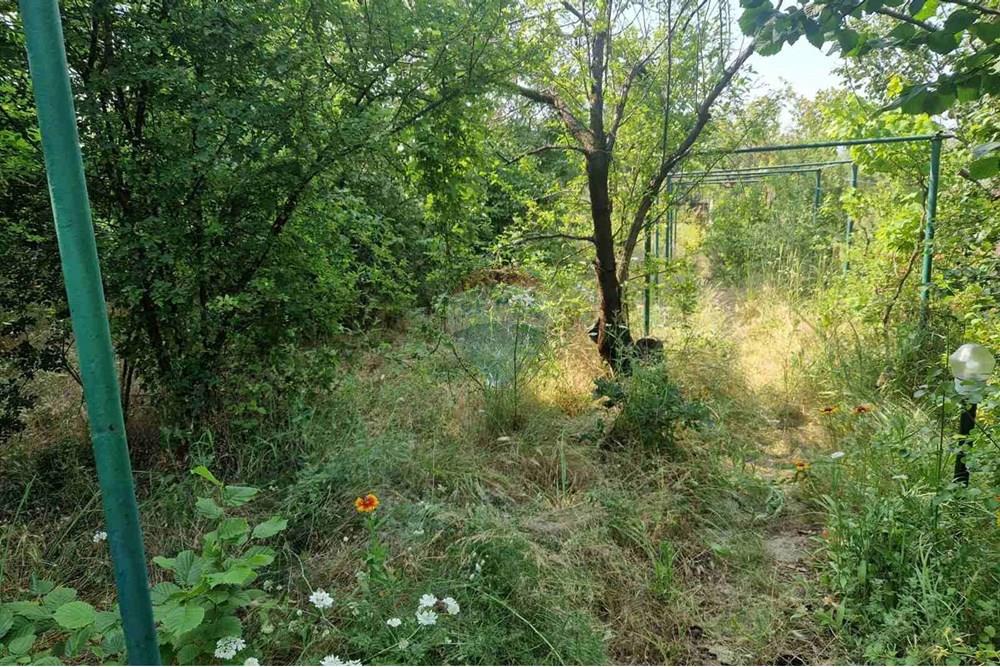 Development land - For Sale - Varna, Varna, Bulgaria - viber_image_2025-07-08_16-14-58-573.jpg - 360531003-46