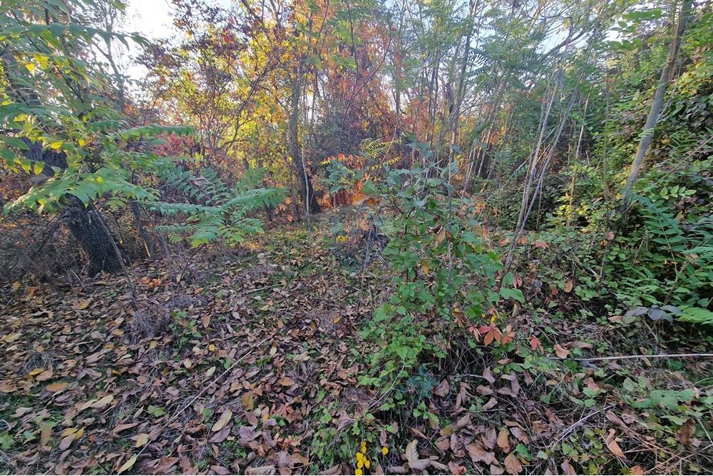 Kır Evi - Satılık - с. Писанец, Област Русе, България - 20251016_170737.jpg - 360451038-13