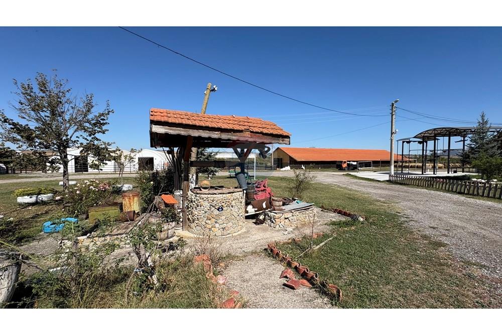 Земеделски имот - За продажба - с. Пробуда, Област Търговище, България - 1759472692741083.jpg - 360471029-9