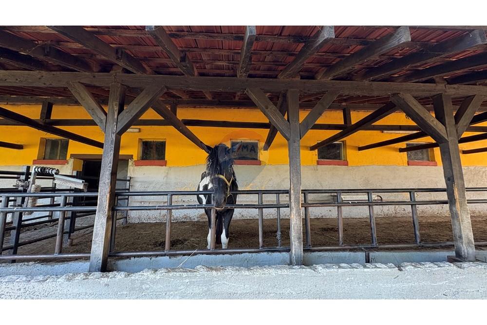 Земеделски имот - За продажба - с. Пробуда, Област Търговище, България - 1759472686100872.jpg - 360471029-9