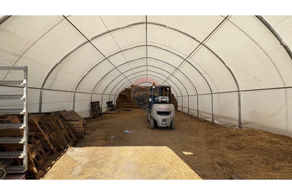 Земеделски имот - За продажба - с. Пробуда, Област Търговище, България - 1759472717468936.jpg - 360471029-9