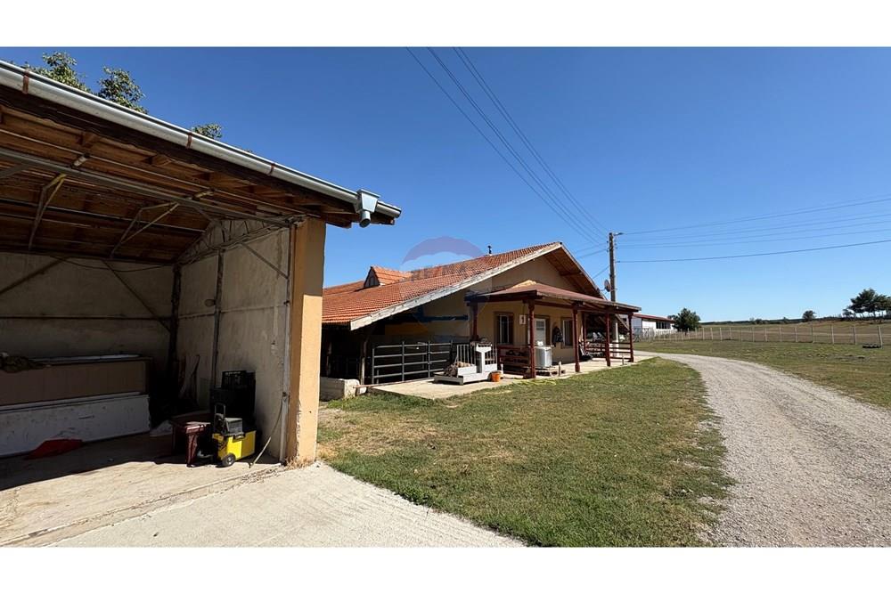 Земеделски имот - За продажба - с. Пробуда, Област Търговище, България - 1759472662489825.jpg - 360471029-9