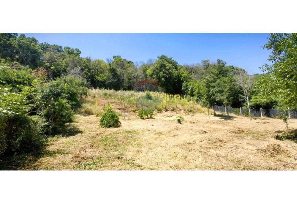 УПИ - За продажба - к.к. Златни пясъци, Област Варна, България - viber_изображение_2025-07-01_13-10-02-446.jpg - Двор - 360511010-72