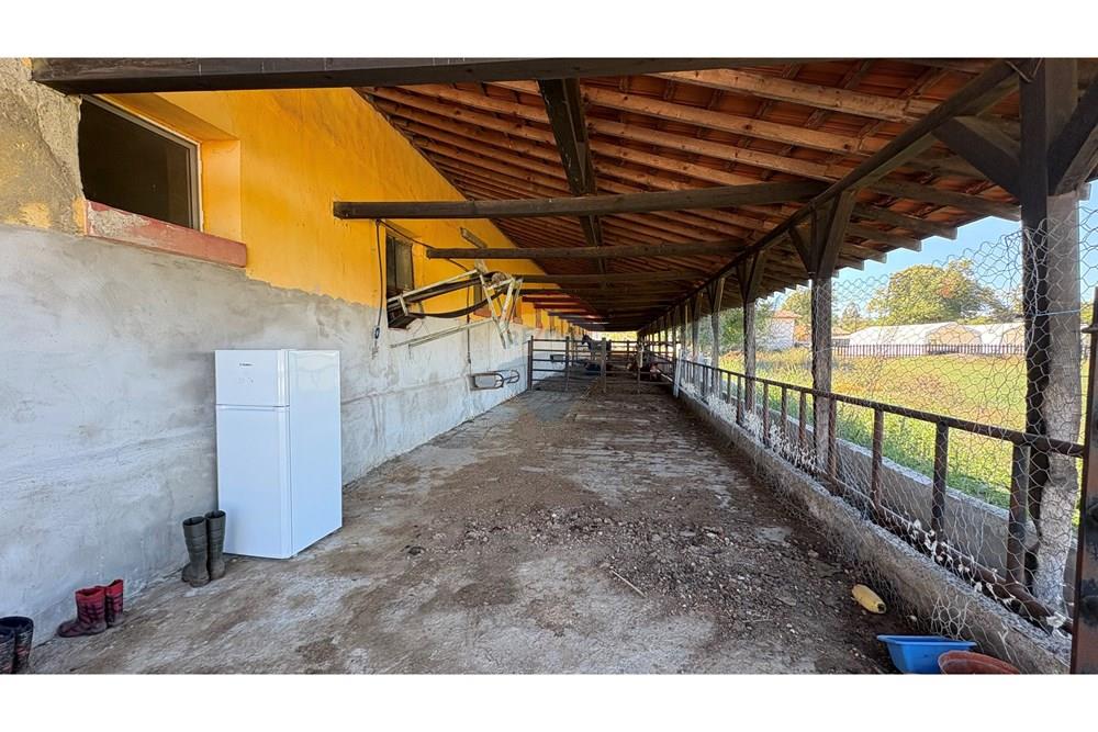 Земеделски имот - За продажба - с. Пробуда, Област Търговище, България - 1759472710826221.jpg - 360471029-9