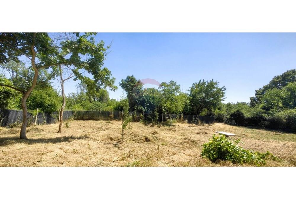 УПИ - За продажба - к.к. Златни пясъци, Област Варна, България - viber_изображение_2025-07-01_13-10-02-568.jpg - Двор - 360511010-72