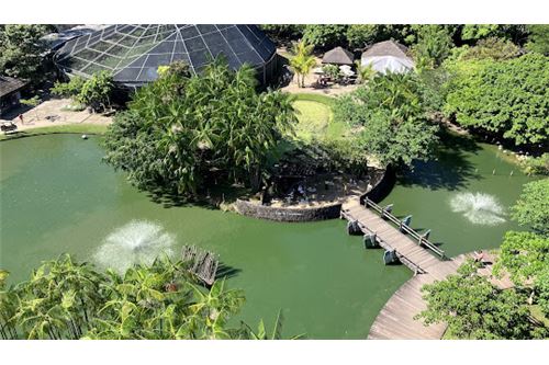 COP 30, Pará, Brasil